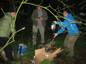 Mammal trapping