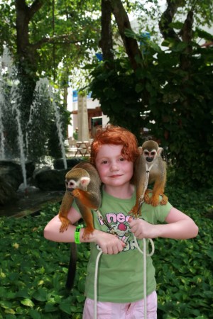 tourist posing with monkeys