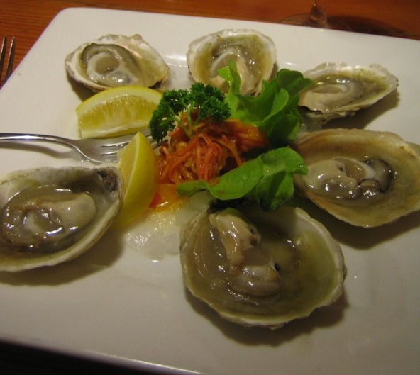 New Zealand Bluff Oysters