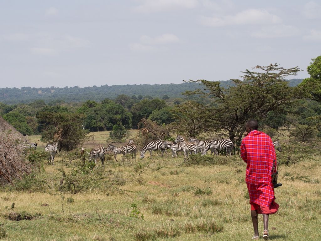 Life Net Masai