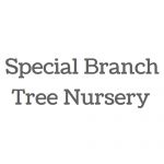 Special Branch Tree Nursery