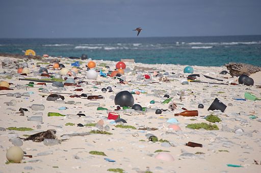 Beach Strewn Plastic Debris