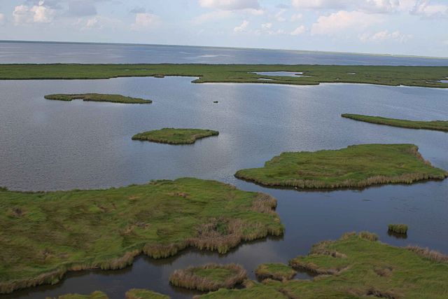 Aerial view of marsh