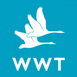 WWT – Wildfowl & Wetland Trust