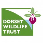 Dorset Wildlife Trust