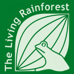Living Rainforest
