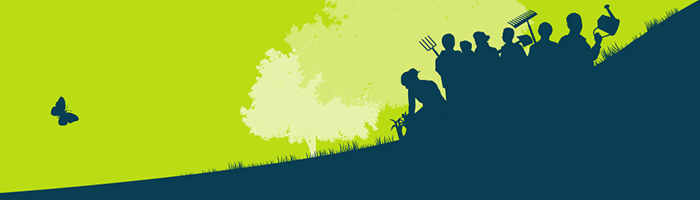 The Conservation Volunteers