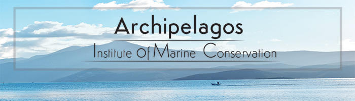 Archipelagos Institute of Marine Conservation