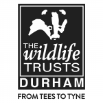 Durham Wildlife Trust