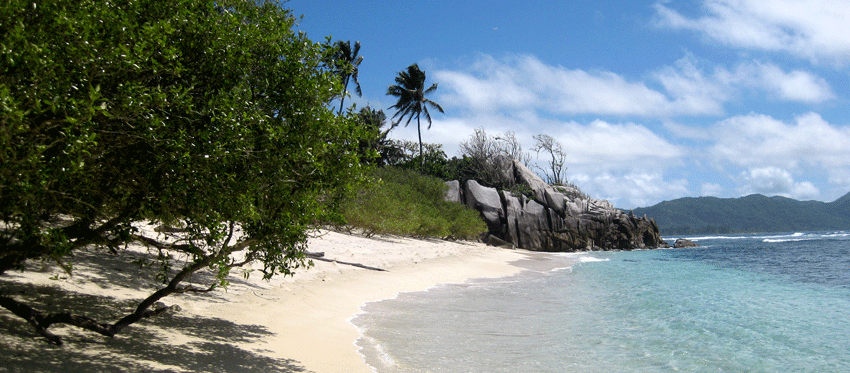 Nature Seychelles