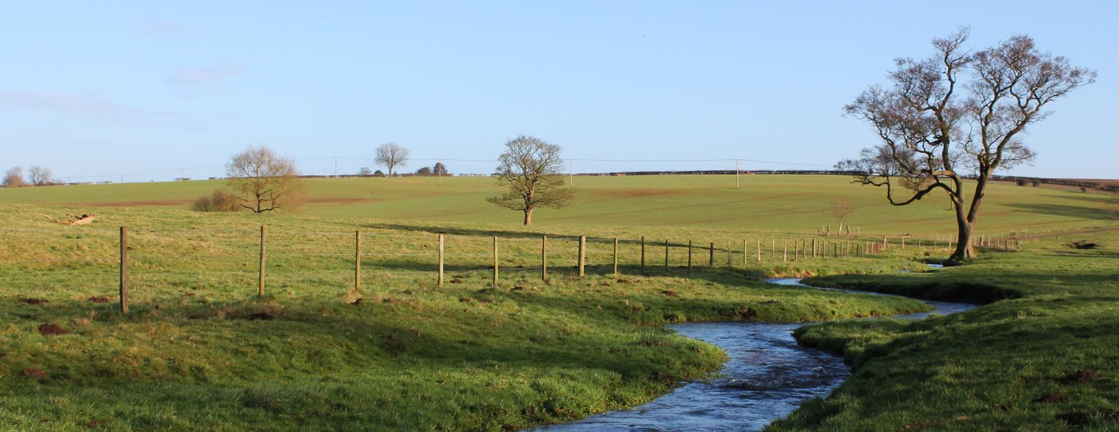 Lincolnshire Chalk Streams Project