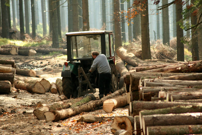 Logging