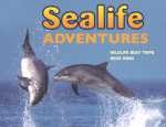 Sealife Adventures