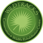 Wildtracks