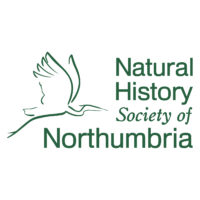 NHSN - Natural History Society of Northumbria