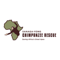 Sanaga-Yong Chimpanzee Rescue